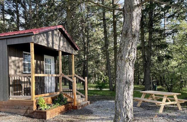 Cozy cabin in the trees