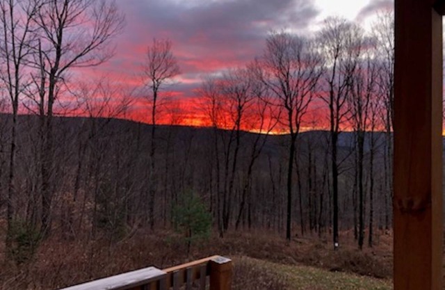 Cozy cabin in the woods on top of the ridge. A quiet retreat.