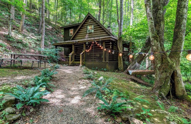 Cozy Cabin in the Woods Hammock Private
