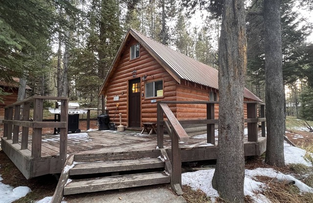 Gemütliche Hütte im Wald