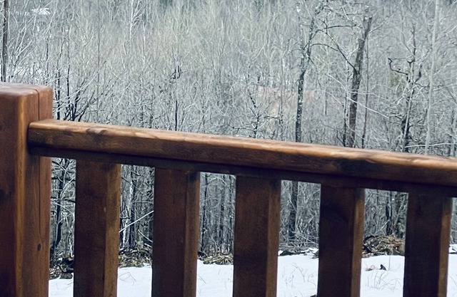Cozy Cabin located near snowmobile, ATV trails. Near Sugarloaf!