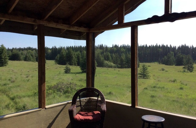 Cozy cabin near RMNP with screened-in deck, forest and meadow views