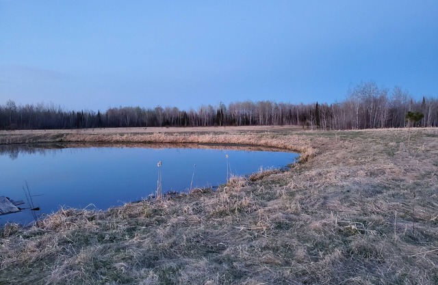 Cozy Cabin on 40 Acres *Near Sax Zim Bog and Access to St. Louis River*