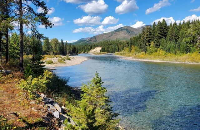 Cozy cabin on the wild & scenic North Fork of Flathead River near Glacier Park