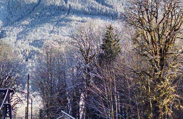 Gemütliche Hütte am Fluss in der Nähe von Stevens Pass. Haustierfreundlich mit vielen Annehmlichkeiten