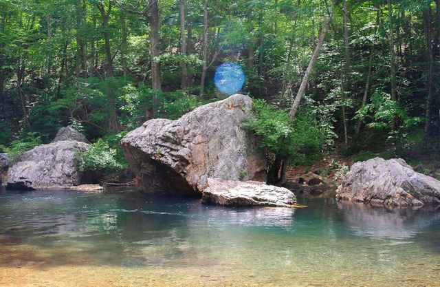 Cozy Cabin on the River: Swim, Hike & Relax on the Banks of the Dry River