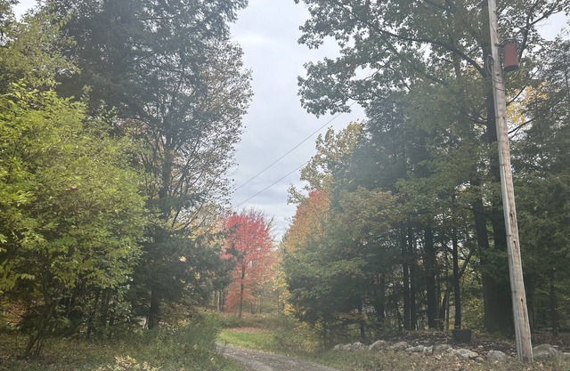 Cozy cabin tucked away in the woods. pets and kid welcomed
