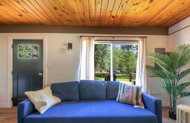 Cozy cabin very near Mt. Rainier National Park, perfect for the family.
