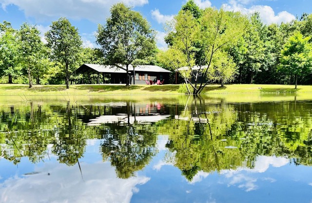 Cozy cabin w/ private pond & firepit. 3 miles to lake & 12 to Crater of Diamonds