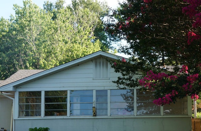 Cozy Cabin with memorable lakeview; fish from your backyard!