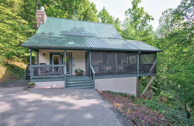 Cozy cabin with mtn view and an awesome media room in charming Townsend.