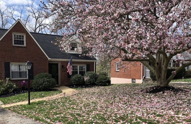 Cozy Cape Cod with easy commute to the city!