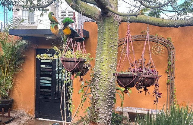 Cozy Casa Ceiba,Charming 2-bedroom house with WiFi, AC in brilliant Tepic