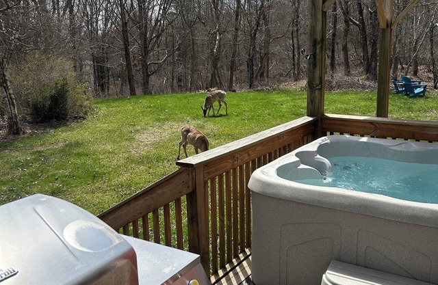 COZY CHALET-CAMELBACK & KALAHARI; HOT TUB, PING PONG & POOL TABLE; GAS FIREPLACE