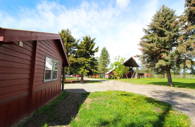Cozy cheerful cabin in great location