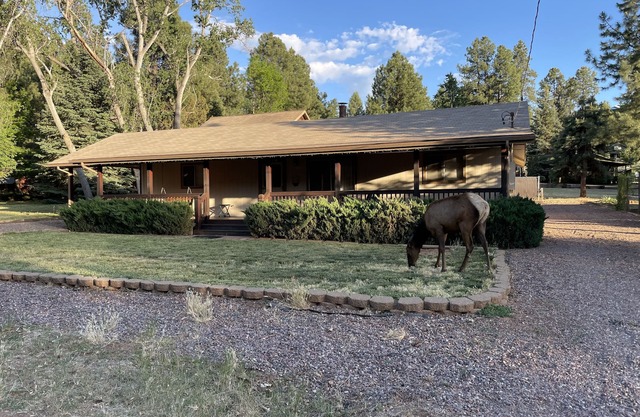 Gemütliches, sauberes und komfortables Haus in den Kiefern. Fühlt sich an wie Omas Haus!