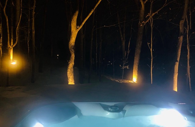 Cozy condo-like 1bdrm – Private Hot Tub, Forest View, Walk to dwtn