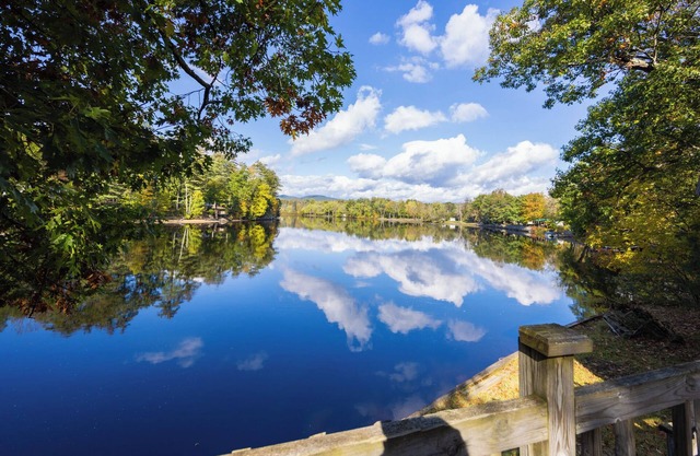 Cozy cottage along the River. Close to Saratoga and Lake George.