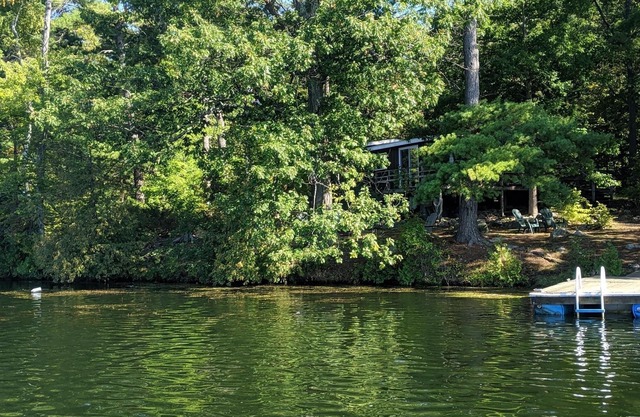 Cozy Cottage available on quiet island surrounded by beautiful lake & fishing!