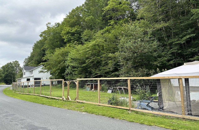 Cozy cottage near Livingston Manor with creek and fenced-in yard. Pet-friendly!