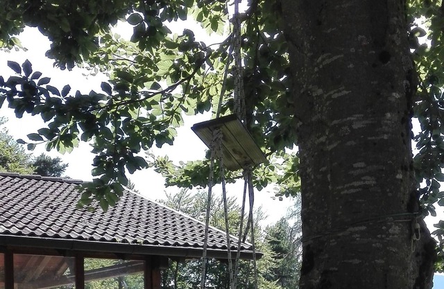 Gemütliches Ferienhaus in der Ruhe der Natur eingebettet