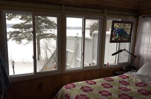 Cozy cottage on a spring fed lake in the picturesque Ottawa Valley.