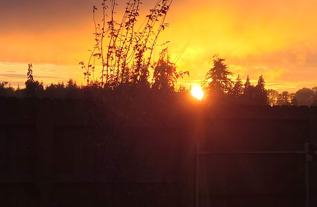 1-bedroom cottage just 10 minutes to Olympic Peninsula
