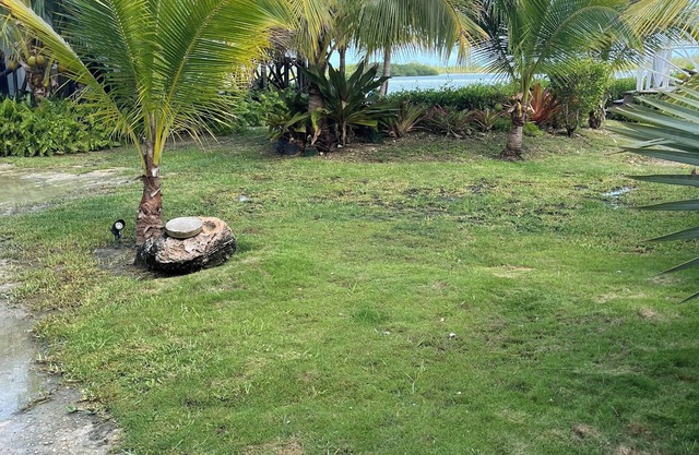 Cozy cottage with 1 bedroom and WiFi, AC in enjoyable Nassau