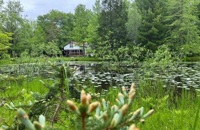 Cozy Cottage with a Pond