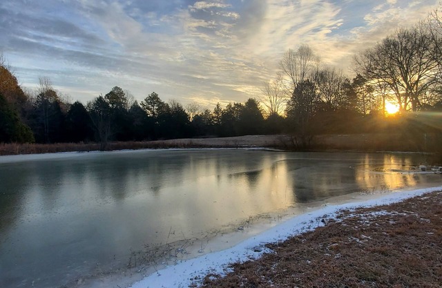 Green Acres Cottage, away from the hustle, yet not too remote in rural Arkansas