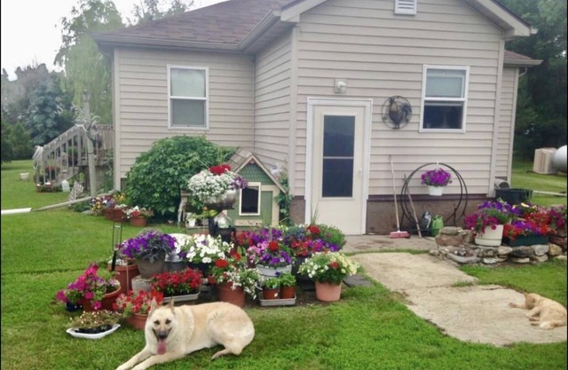 Cozy Country Home with 5 Acres