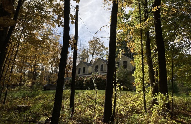 Cozy escape in the trees of the Berkshires