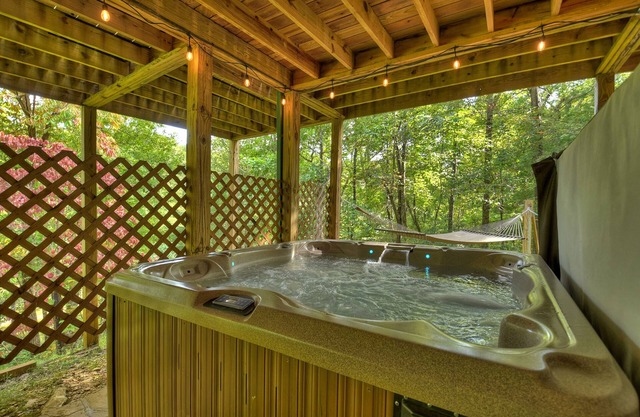 Buffalo Ridge - Hot tub, fire pit, and fireplace!