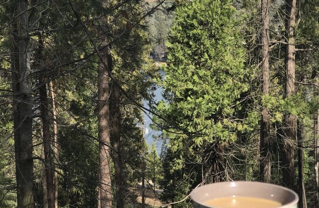 Gemütliche, familienfreundliche Hütte in einem geschlossenen Seebad in der Nähe von Yosemite!