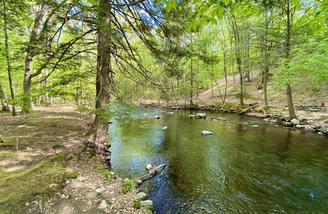 Forest Creekside Home: Kamin, Feuerstelle, Whirlpool, Pools, Fluss, Wandern + mehr