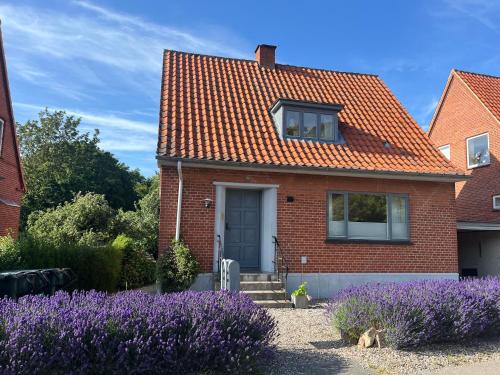 Cozy Gateway to Langeland