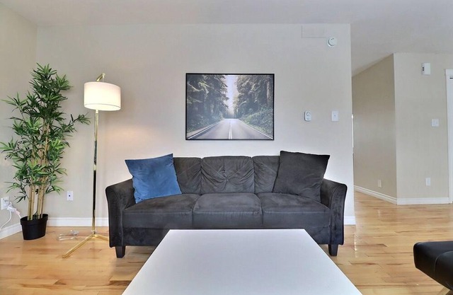 Cozy Home in Central Moncton WFH NBCC