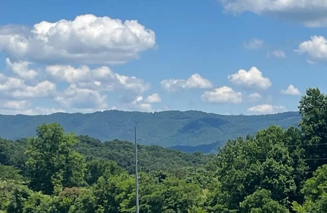 Cozy home with Mountain Views! Pet friendly!