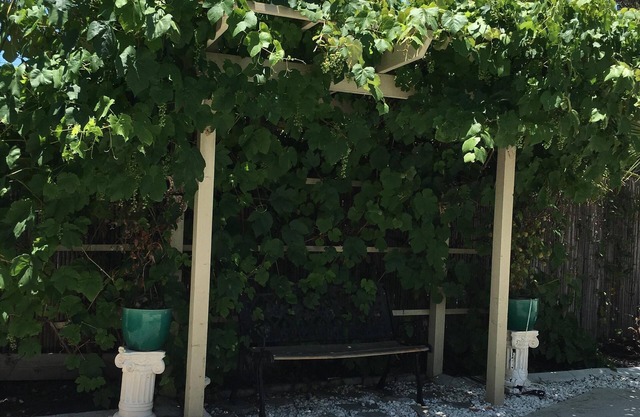 Gemütliches Haus, riesiger Garten, Herz von Temecula