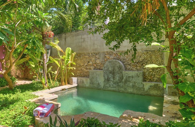 Cozy house & secret garden with pool in Centro