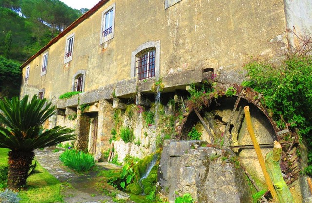 Cozy House with Porto de Mós View