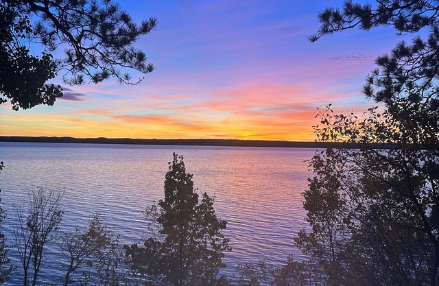 Cozy Hubbard Lake waterfront -beautiful views, private wooded lot, fireplace
