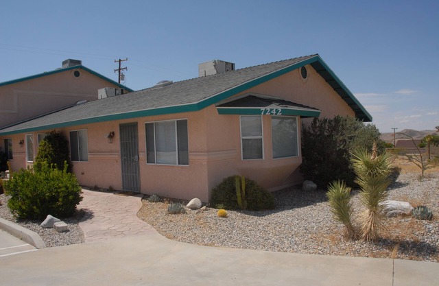 Gemütliche Joshua Tree Sage Erfahrung.