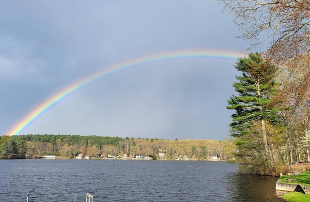 Cozy lake cottage. Bring your boat. New dock at cottage.