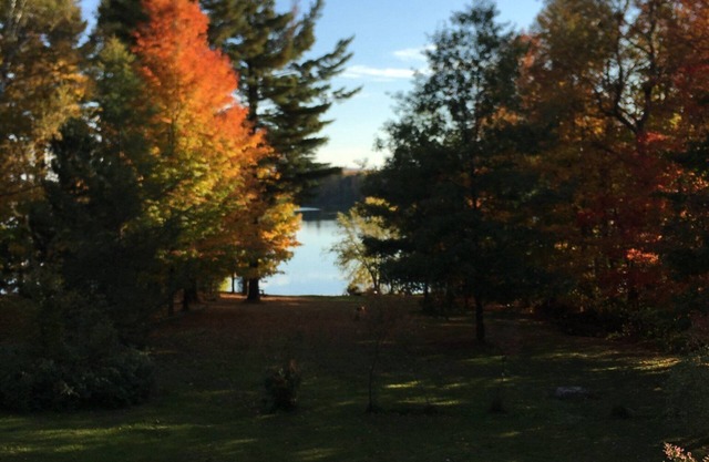 Cozy lakeside cabin with AC and WiFi . 240 ft private beach and dock
