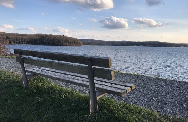 Cozy Lakeview Family Cottage - steps to the lake, 2 swim docks & restaurant!