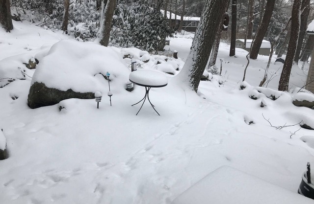 Cozy Laurel Highlands Cabin Minutes to Ski Resorts, Fishing, Hiking, etc.