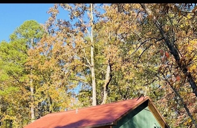Cozy little Cabin in Little Rock