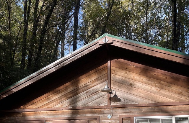 Cozy little cottage in the woods, rustic and remote, pet friendly.