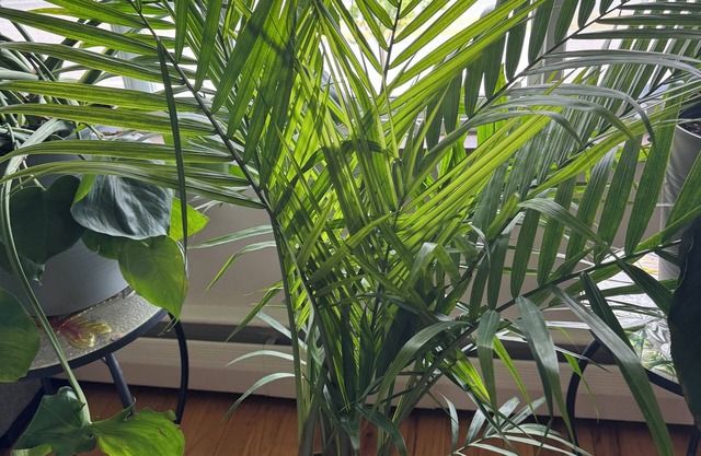 Cozy loft style apartment